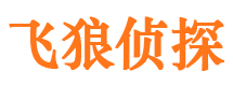 乐山市婚外情调查